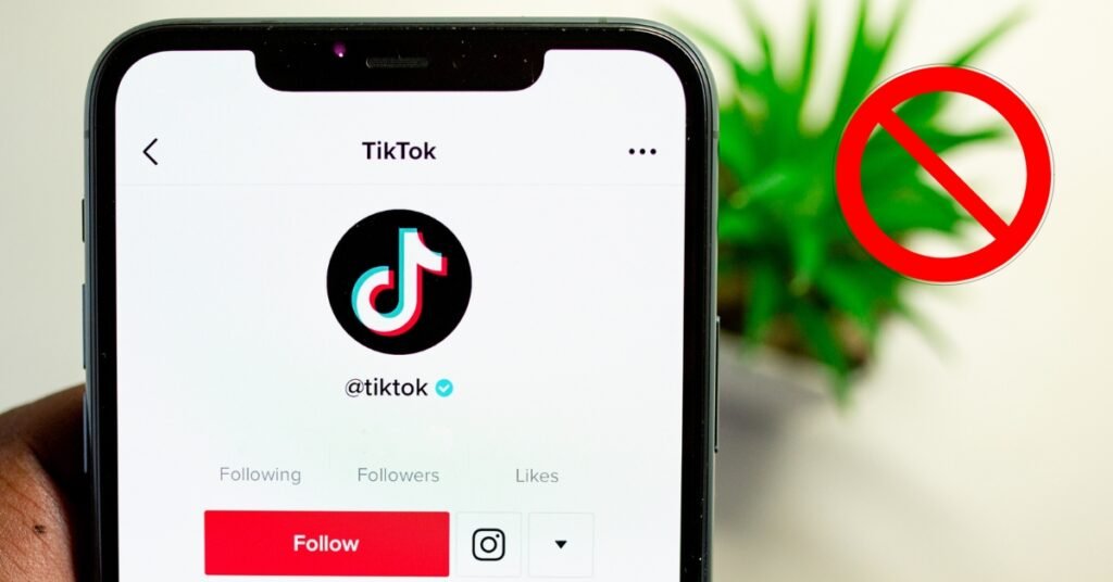Egypt Considering Ban on TikTok Due to Negative Impact on Youth